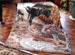 Music Room Tapestry Throw